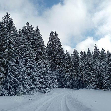 ホテル House Janja Plitvice セリステ・ドゥレズニツコ エクステリア 写真