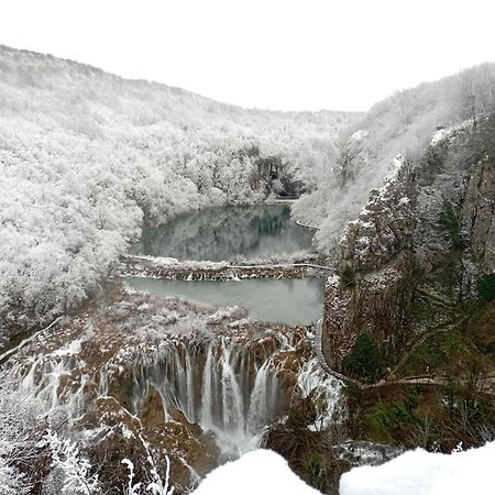 ホテル House Janja Plitvice セリステ・ドゥレズニツコ エクステリア 写真