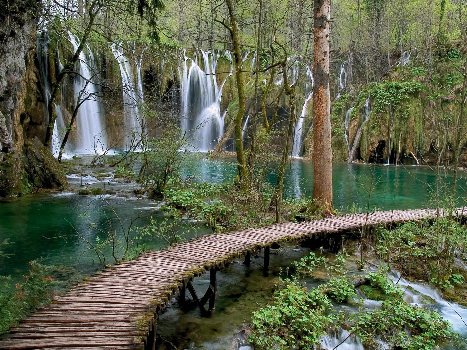 ホテル House Janja Plitvice セリステ・ドゥレズニツコ エクステリア 写真